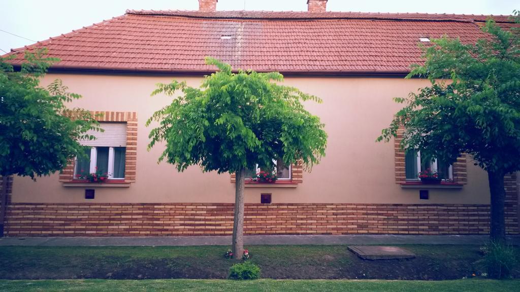 Enzo Apartman Gyula Apartment Cameră foto